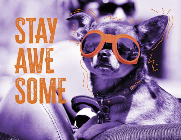 Stay Awesome front