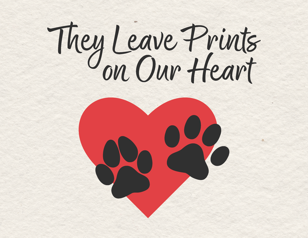 Forever in Your Heart front