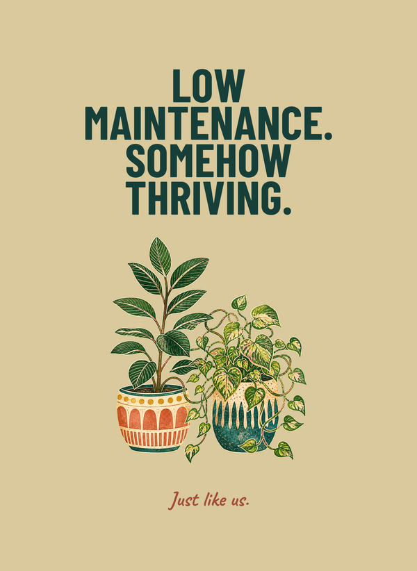 Low Maintenance. Somehow Thriving. front