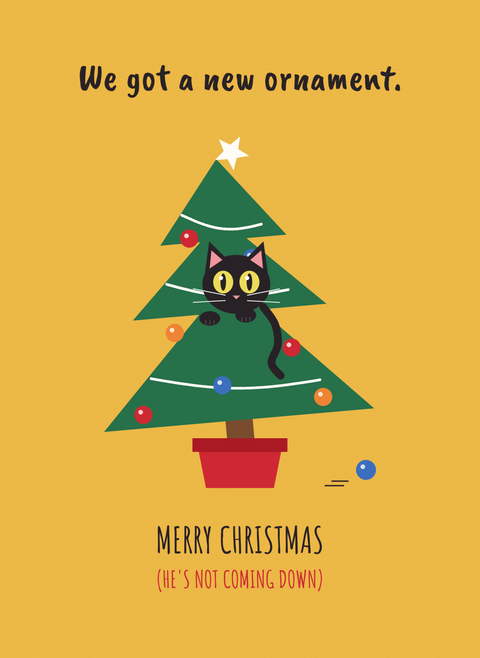We Got a New Ornament (Cat in the Tree)