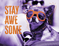Stay Awesome