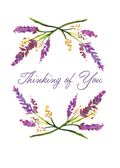 Lilac - Thinking of You