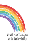 Across the Rainbow Bridge