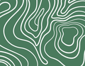 Topographic