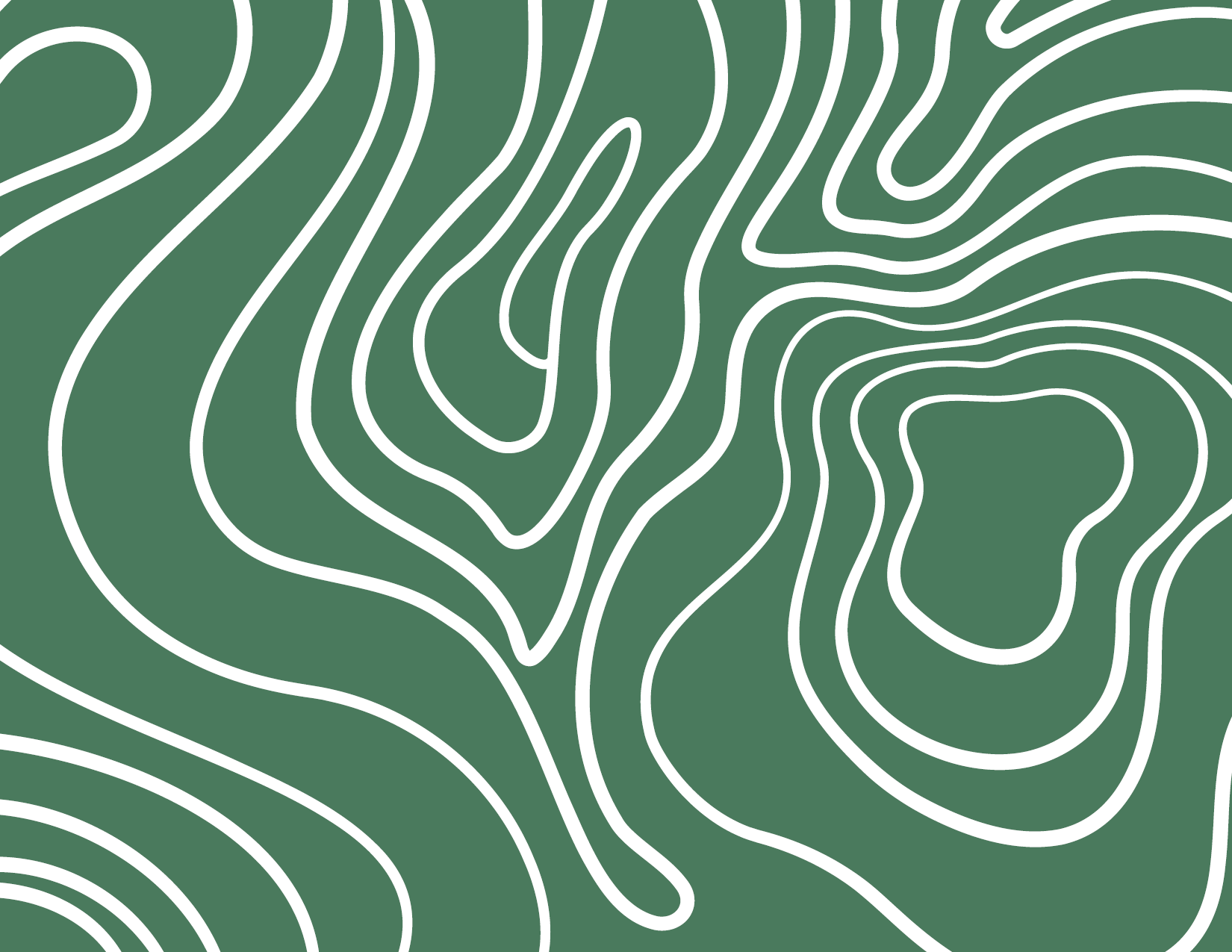 Topographic