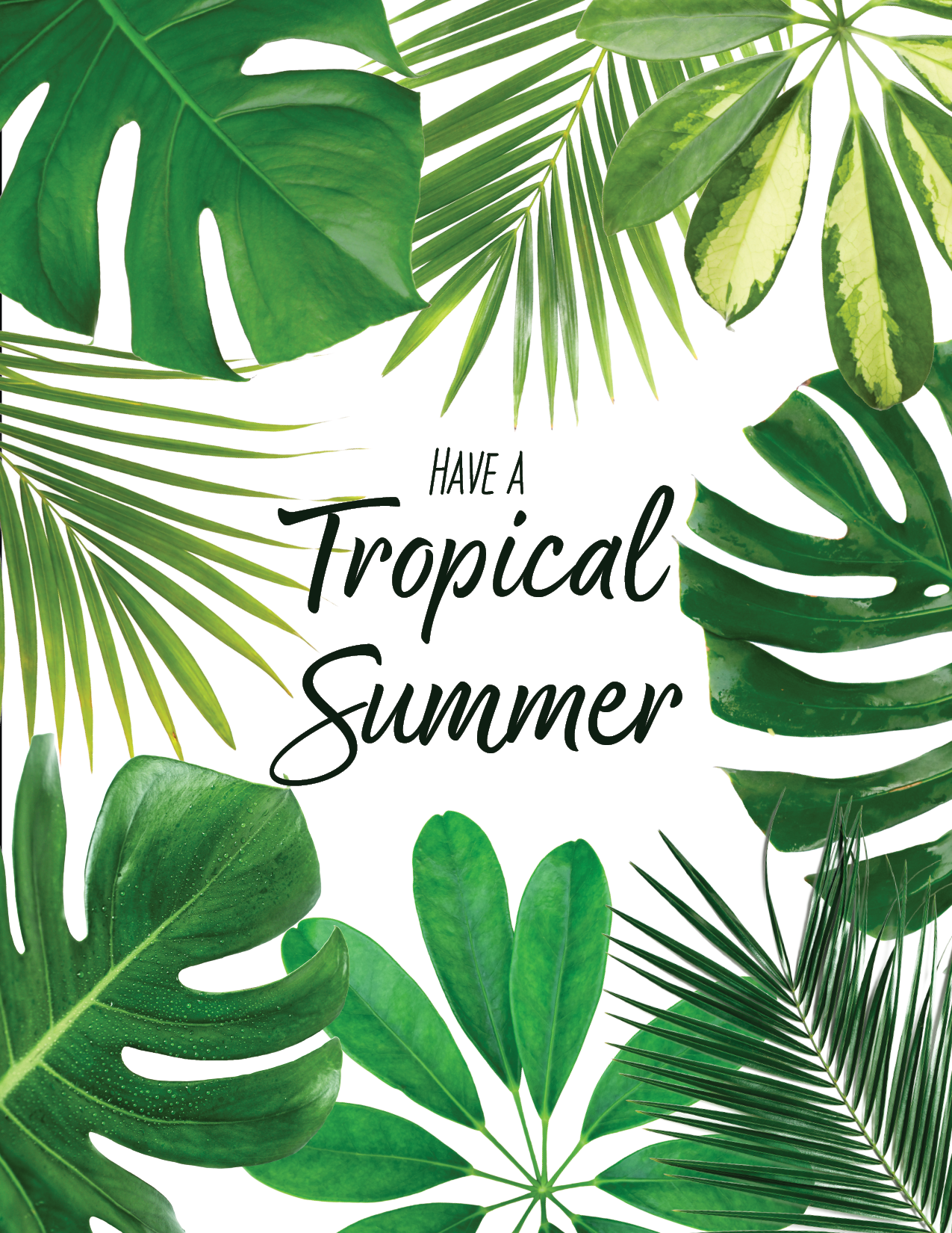 Tropical Summer