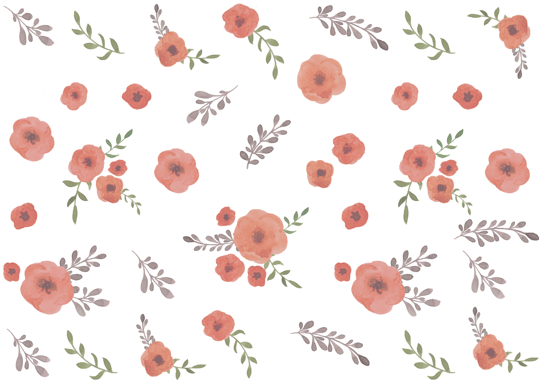 Poppies