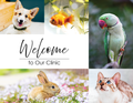 Welcome to Our Clinic - Pets