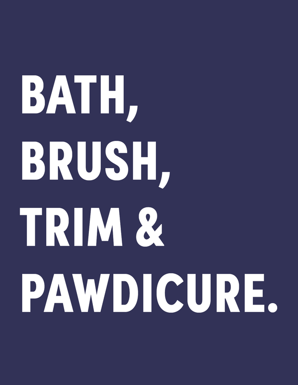 Bath Brush Trim front