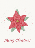 Christmas card with a painted red poinsettia in bloom