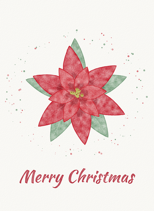 Merry Christmas (Watercolor Poinsettia) front