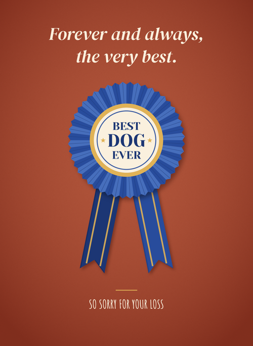 Sympathy card with a blue prize ribbon rosette reading best dog ever